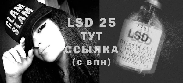 дмт Пересвет