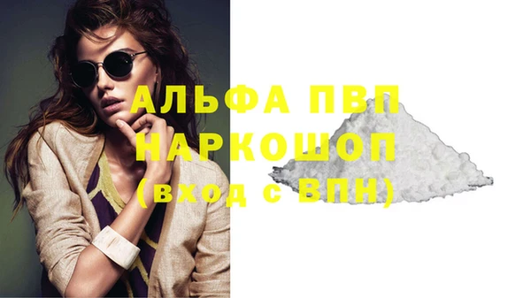 сатива Вуктыл