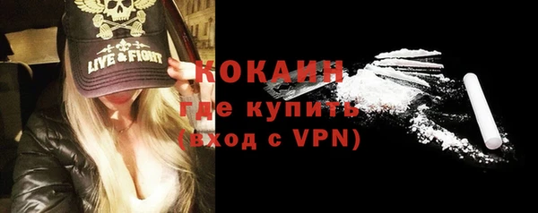 дмт Пересвет