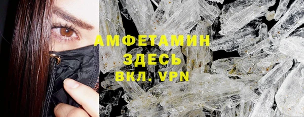 дмт Пересвет