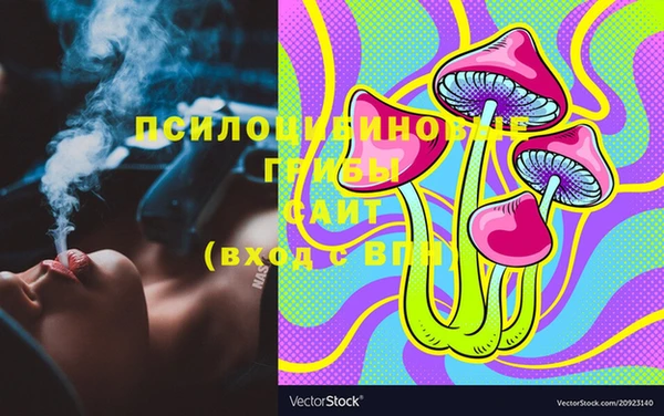 дмт Пересвет