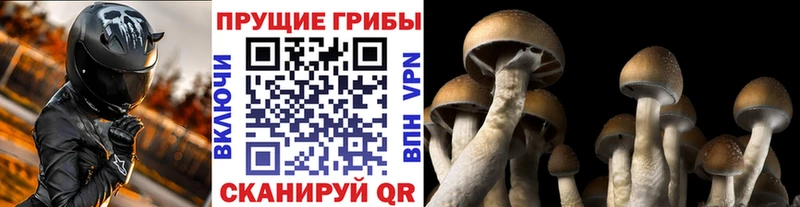Псилоцибиновые грибы Magic Shrooms Касимов