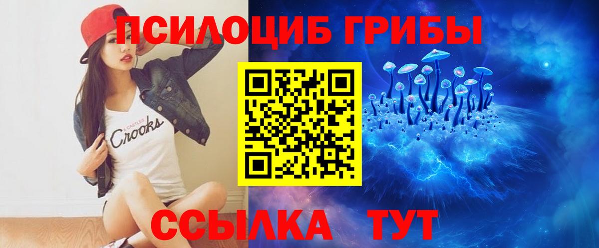 Касимов  Псилоцибиновые грибы Psilocybine cubensis  Вход с VPN  Галлюциногенные грибы мицелий 