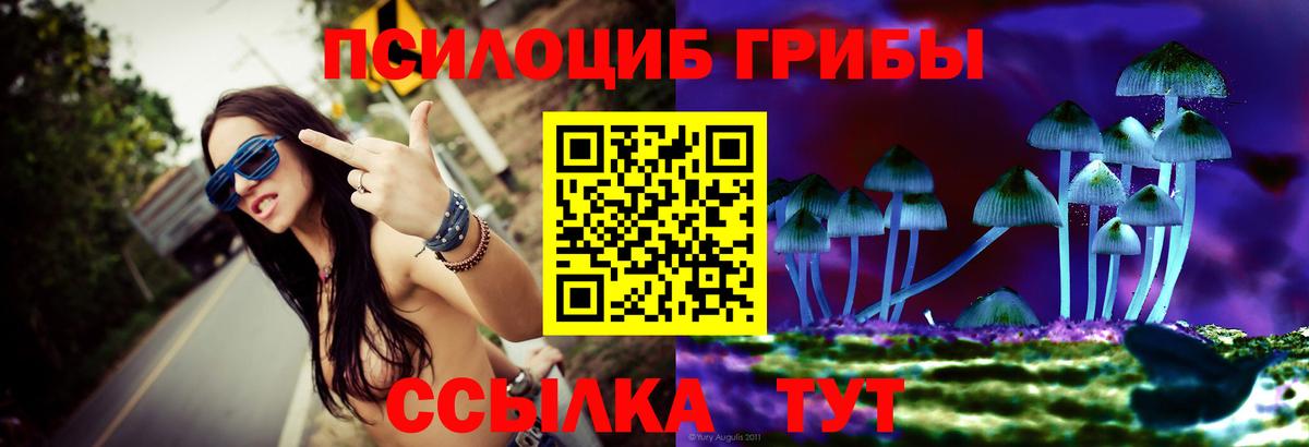 дарнет шоп  Касимов  Галлюциногенные грибы Psilocybe  Галлюциногенные грибы Magic Shrooms 